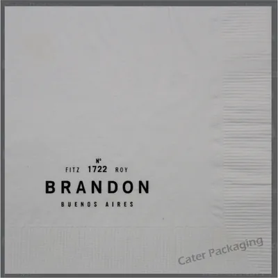 Servilleta de papel 33 × 33 cm: Brandon 33 x 33