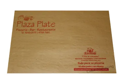 Individual impreso en flexografía: Individual Flexo Plaza Plate
