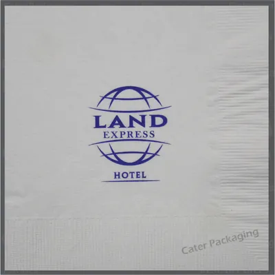 Servilleta de papel 33 × 33 cm: Land Express 33 x 33