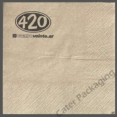 Servilleta de papel 33 × 33 cm (foto 6)
