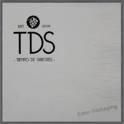 Servilleta de papel 33 × 33 cm: TDS 33 x 33